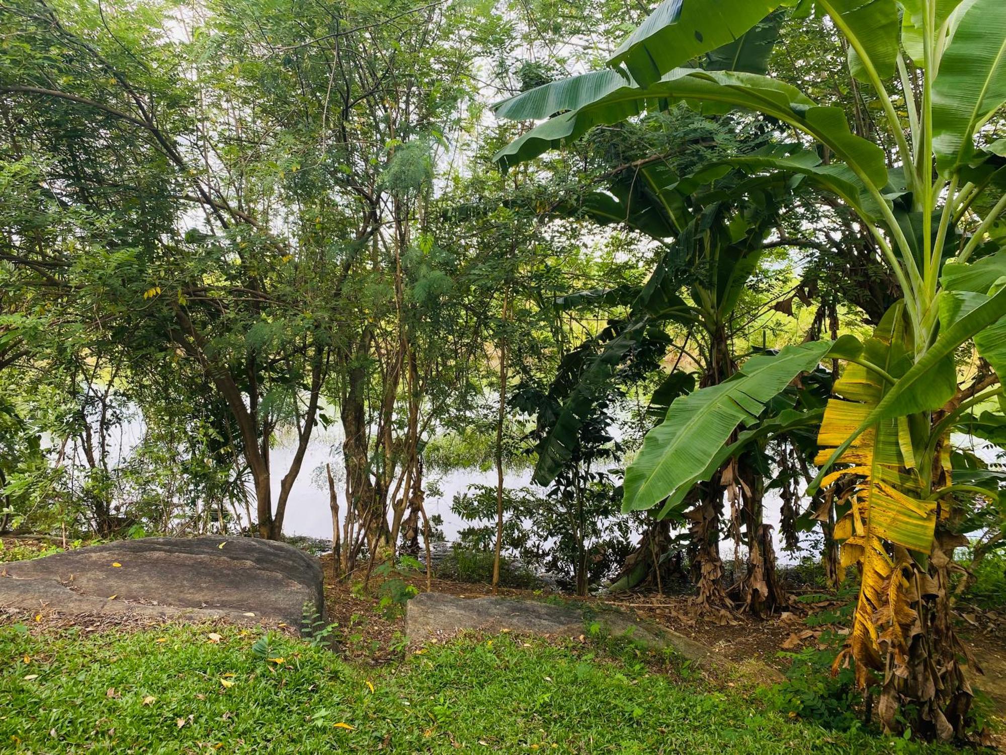 River Paradise Safari House With Cooking Class Удавалаве Екстериор снимка
